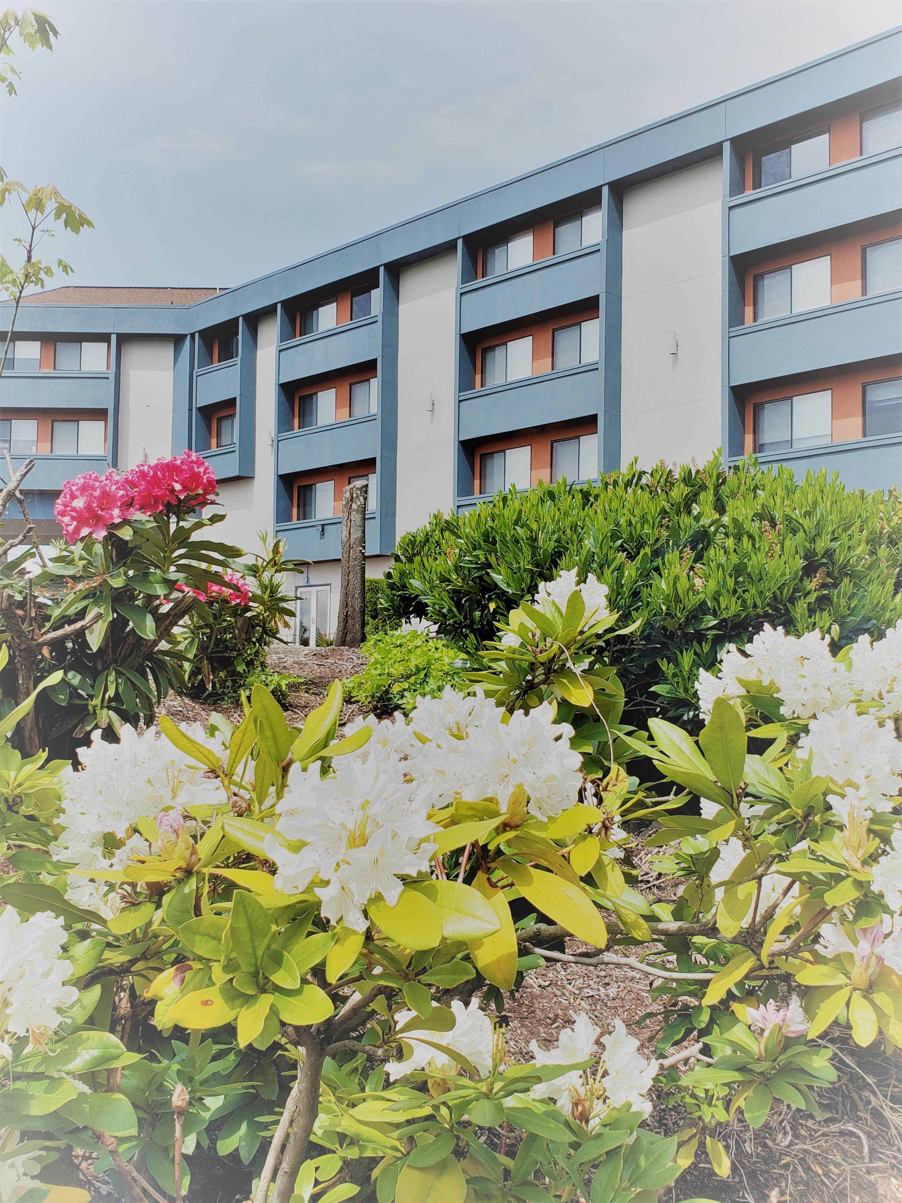 Best Western Plus Renton Inn Exterior photo